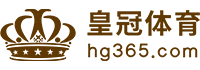 Logo 银河体育